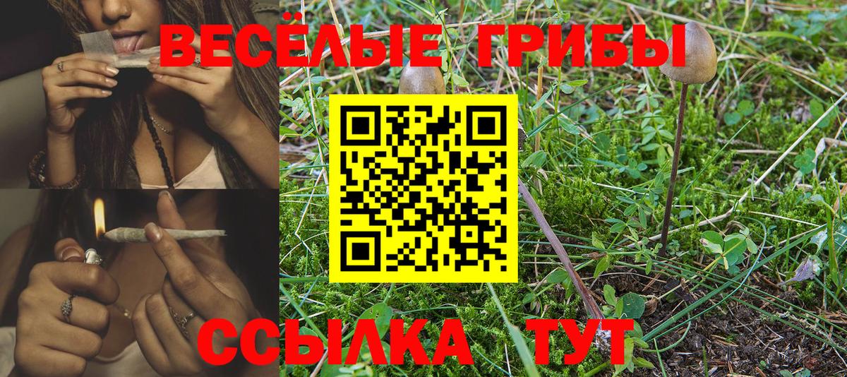 Фурманов  Галлюциногенные грибы Cubensis  Вход с VPN  Псилоцибиновые грибы Psilocybine cubensis 